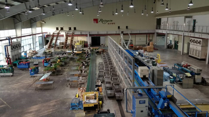 도심 속 스마트 팜 비즈니스 모델과 성공 사례