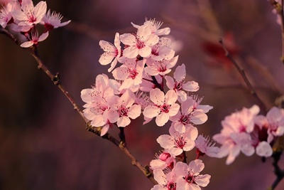 청와대 관람신청 예약 주차장 소요시간