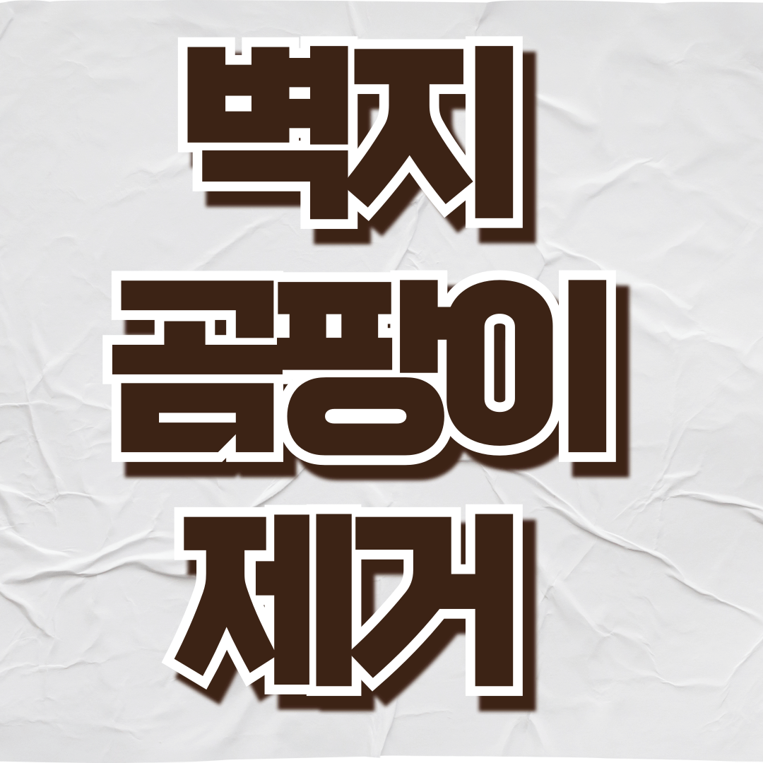 벽지 곰팡이 제거