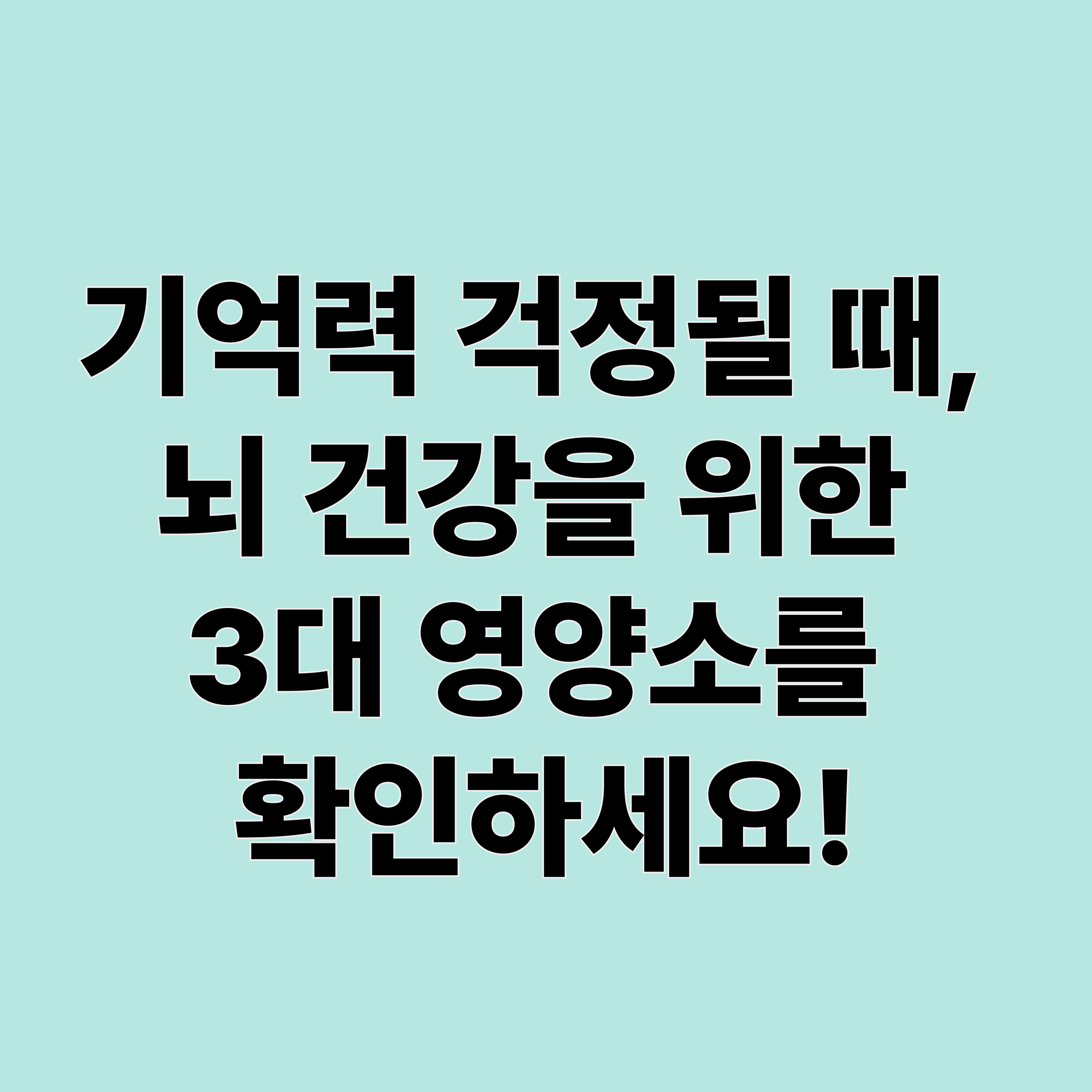 뇌 건강 영양제, 어떤 성분이 기억력에 도움될까?