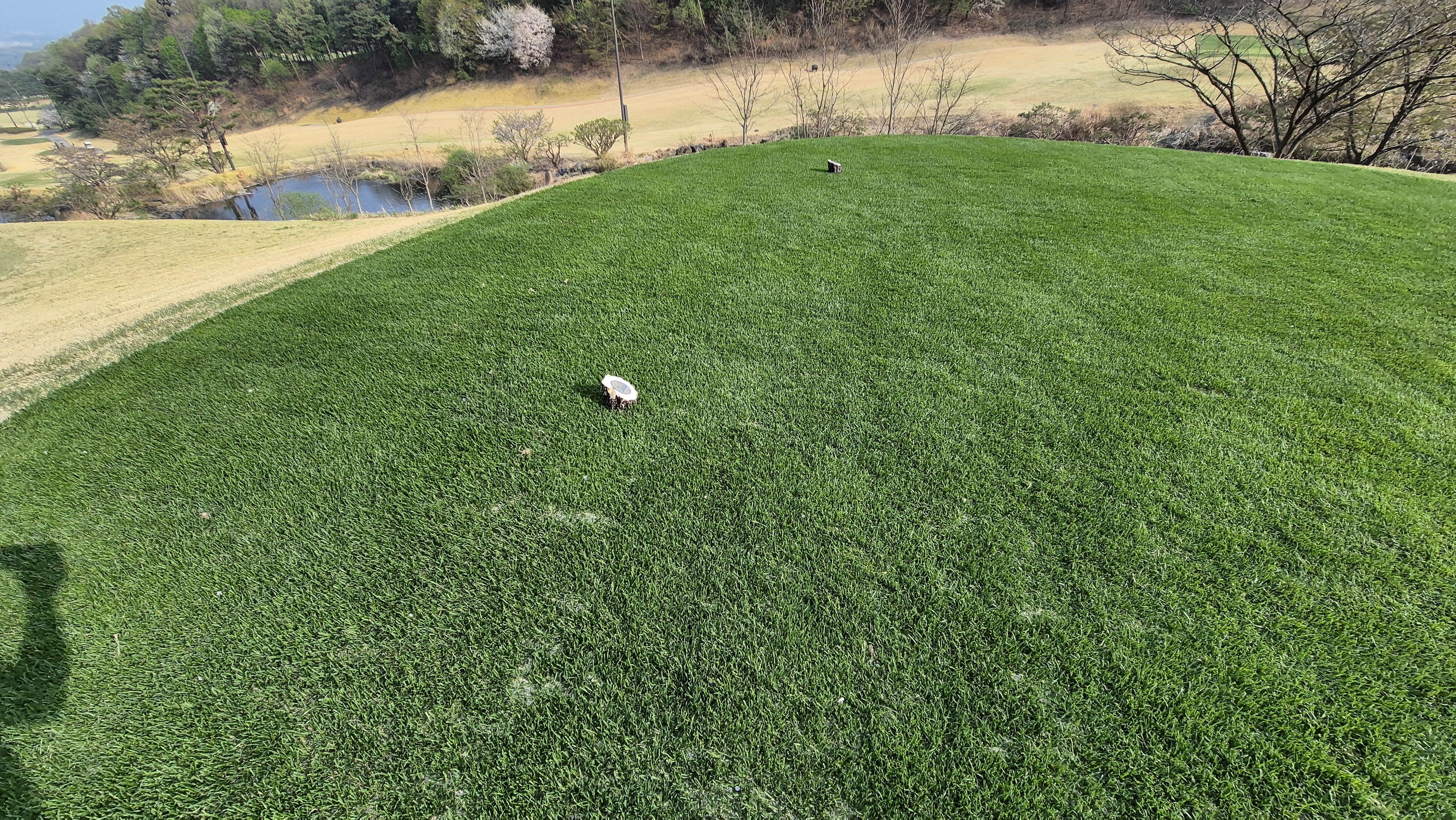 진양밸리 크리크-밸리 코스 티잉구역상태