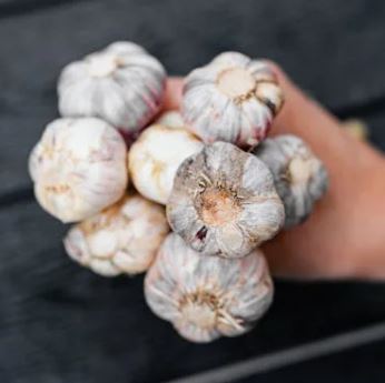 축농증에 좋은 음식 10가지