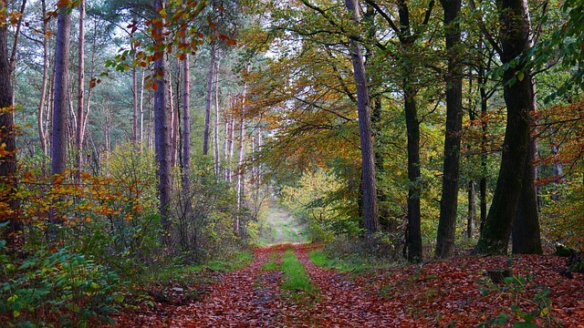 김문수-한덕수 단일화 갈등 전말과 대선 승부수