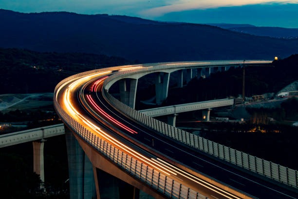 815-광복절-특사-음주운전-조회