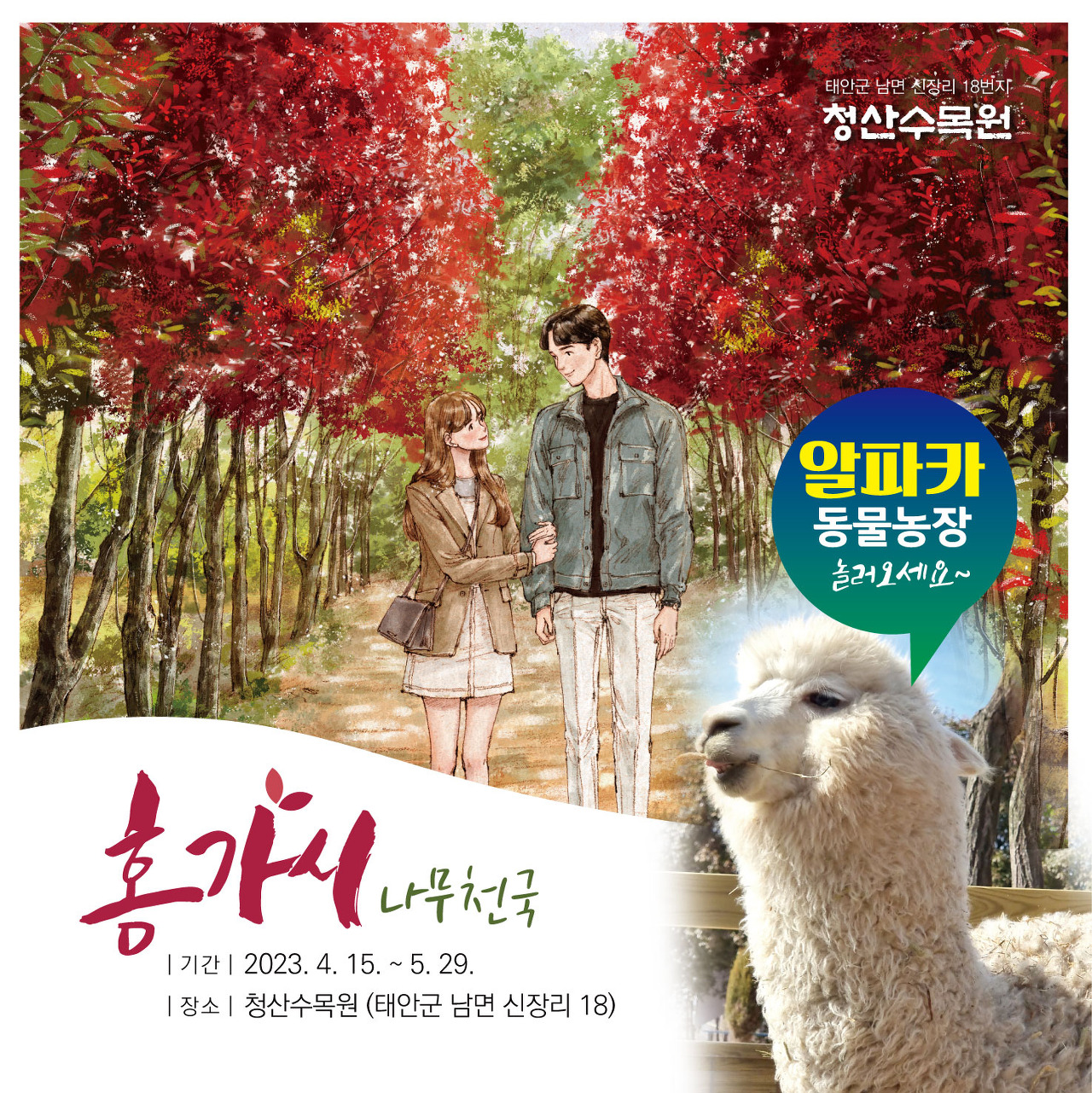 청산수목원 테마 정원으로 떠나는 태안 여행