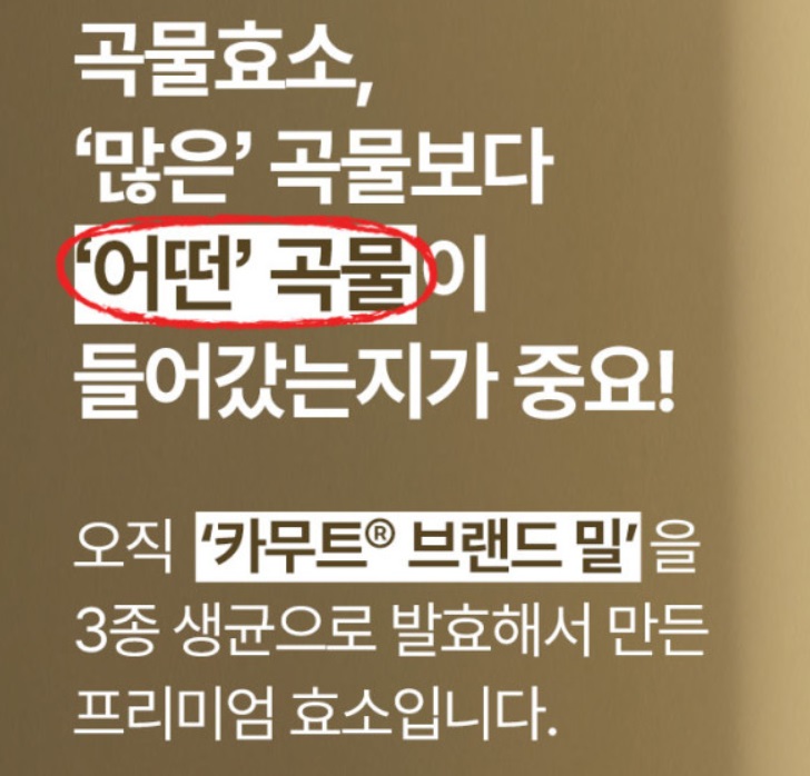 카무트효소-효능--장내세균