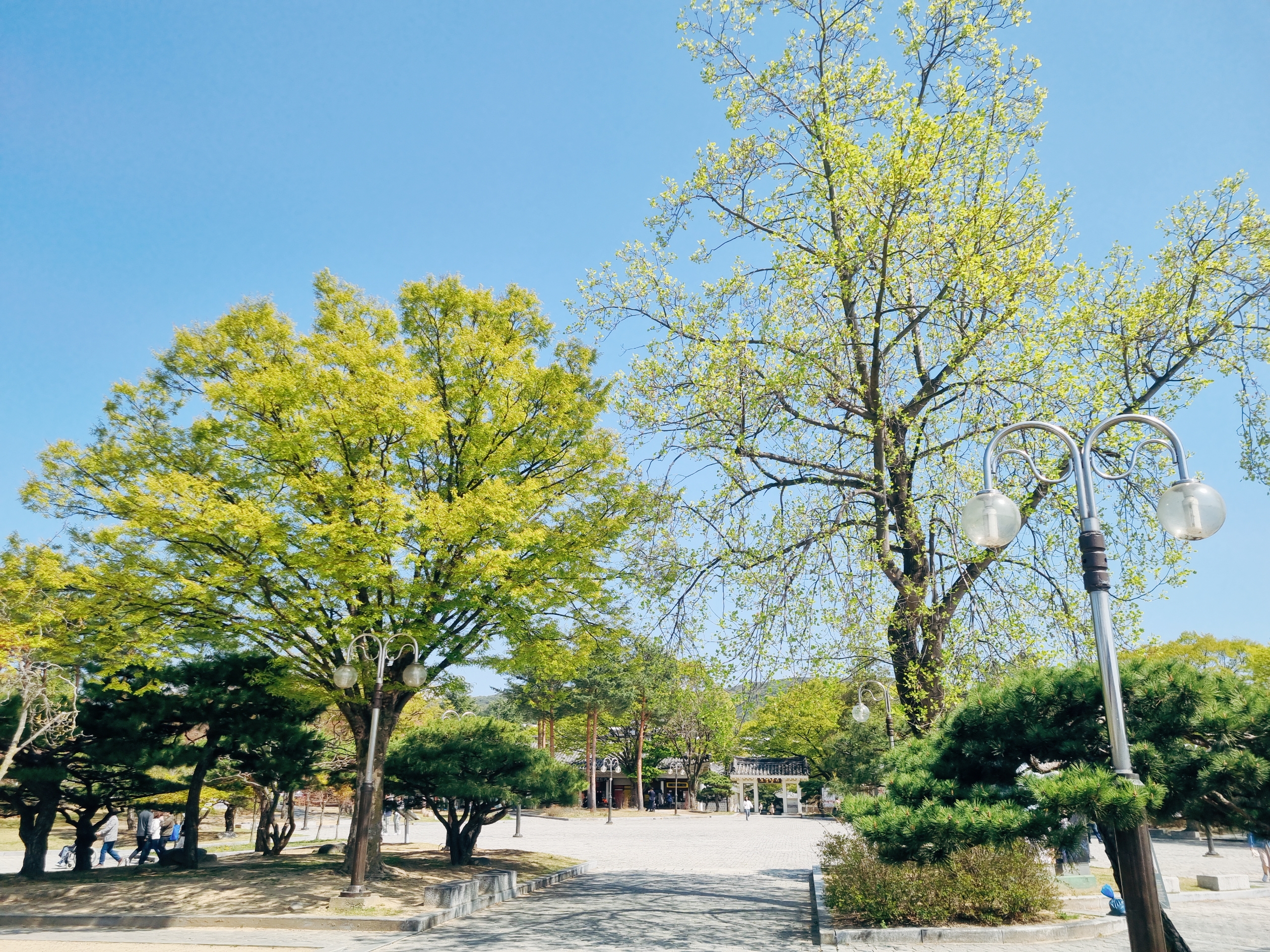 경주 보문단지
