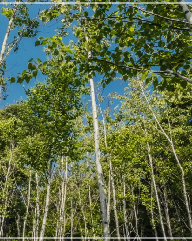 화담숲-예약하기-입장료-운영시간