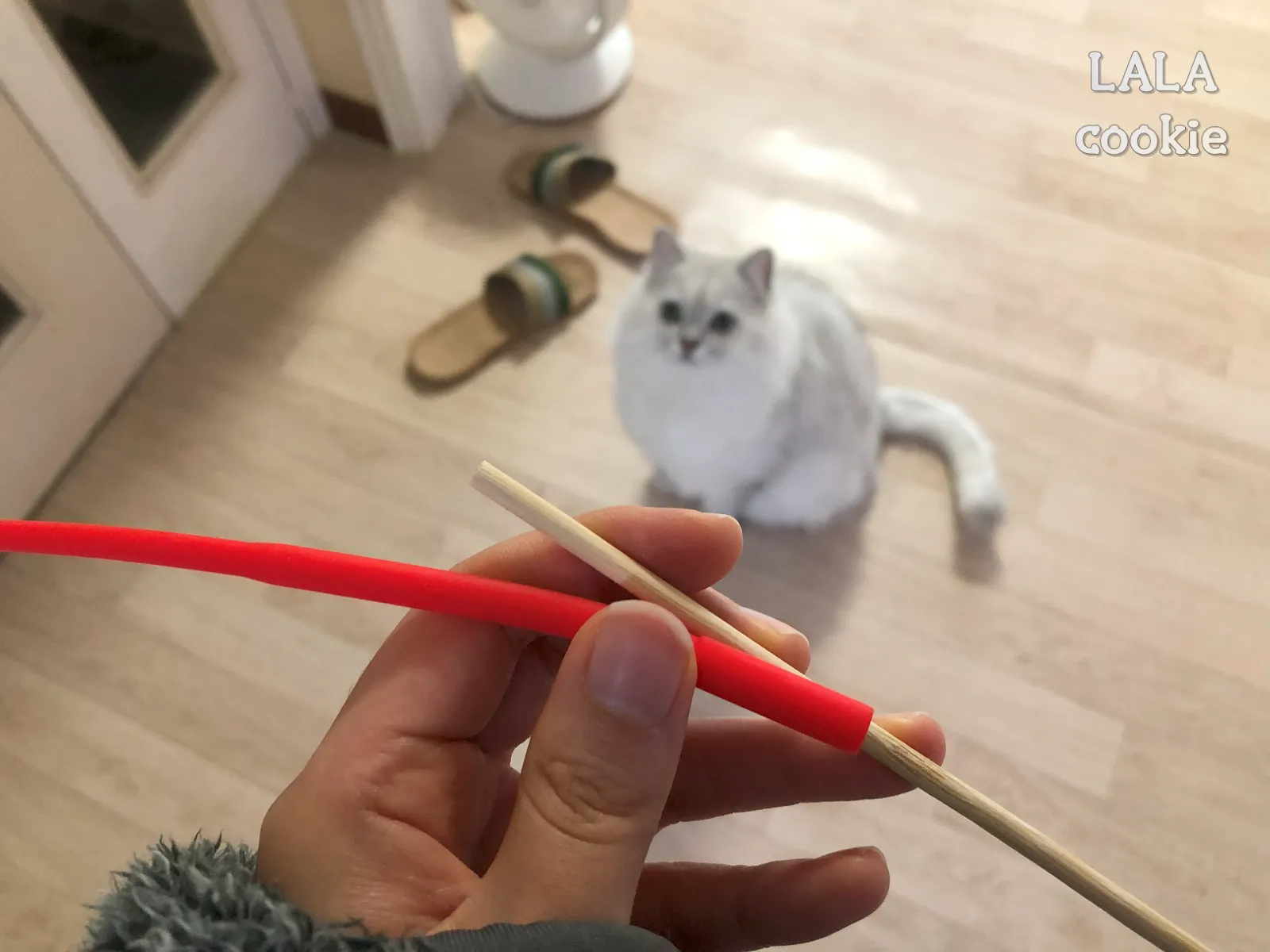 고양이-장난감-쥐꼬리-조립하는-모습