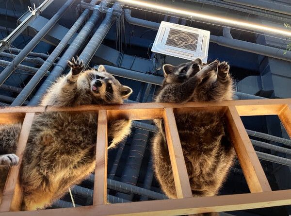 하남 놀거리 볼거리 데이트코스 추천