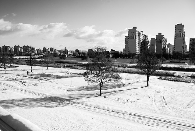 ❄️ 2025년 수원 첫눈 언제? 11월 25일 최신 수원 첫눈 예보와 ai가 예측한 올해 예상 시기 ❄️