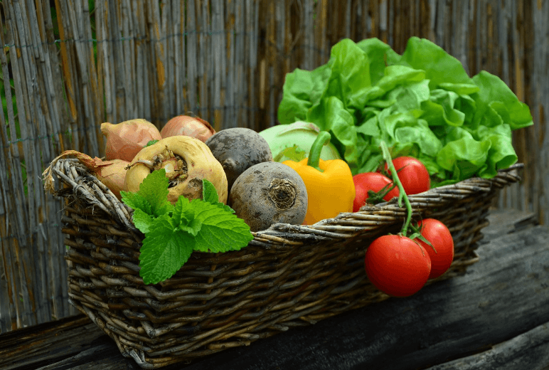 식이섬유가 풍부한 야채