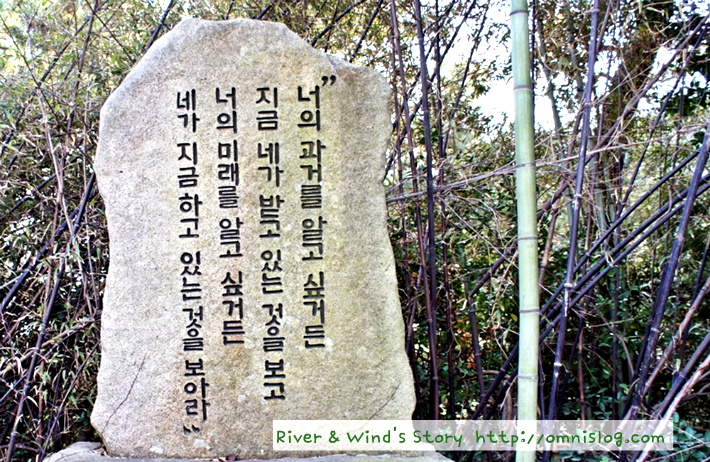 인연
