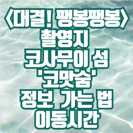 대결-팽봉팽봉-촬영지-코사무이-섬-'코맛숨'-정보-가는-법-이동시간