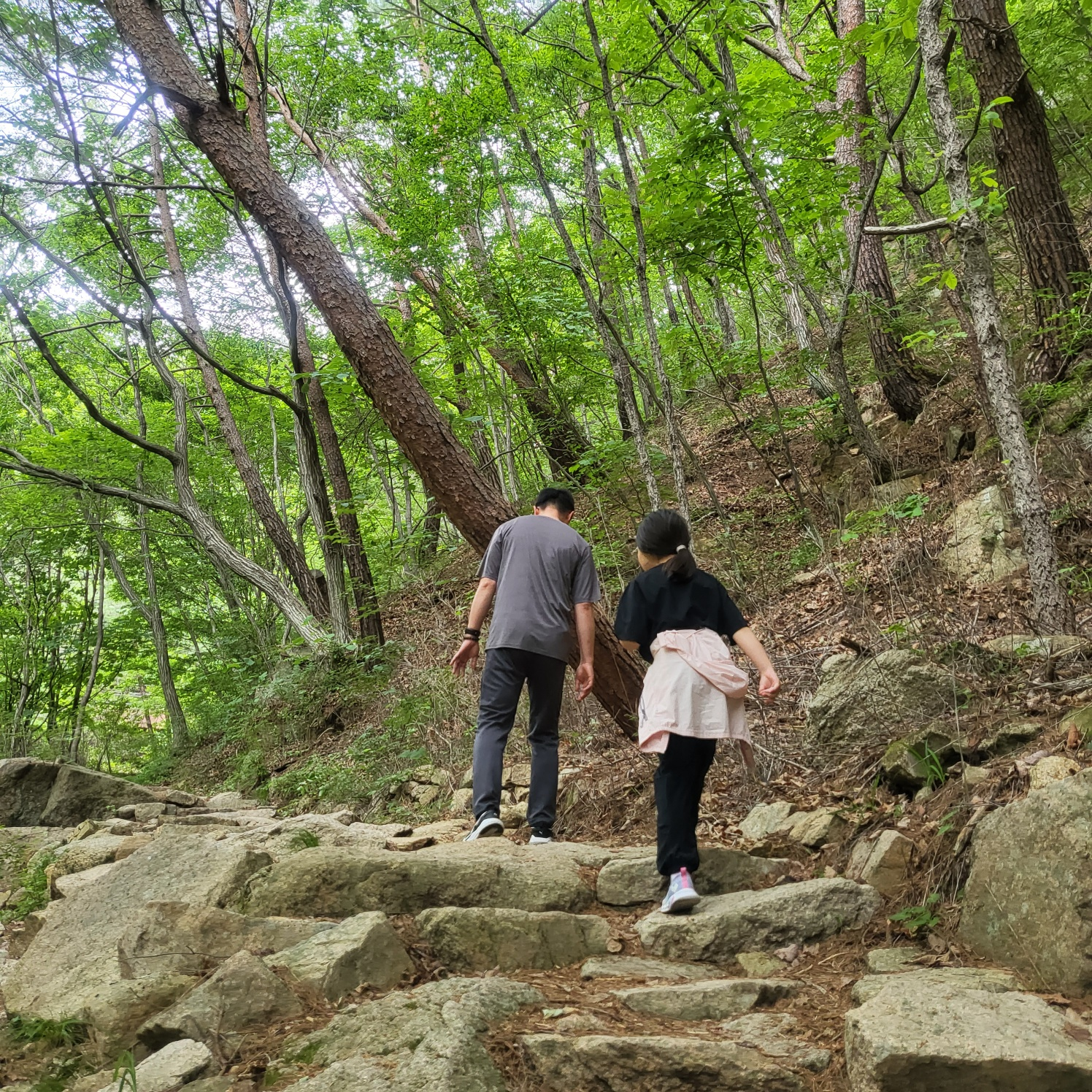 속리산 문장대(아이와 등산하기)