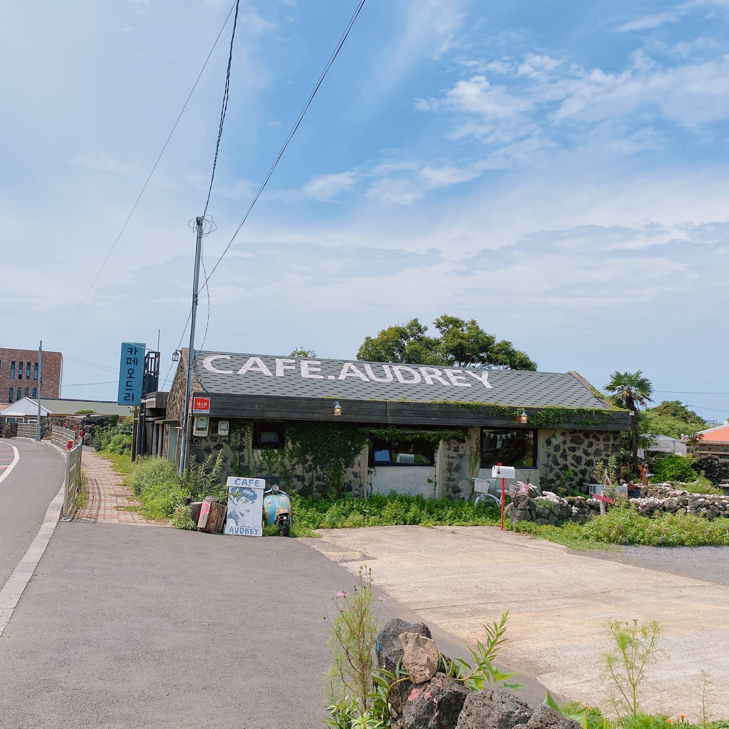 제주 금오름 오드리카페