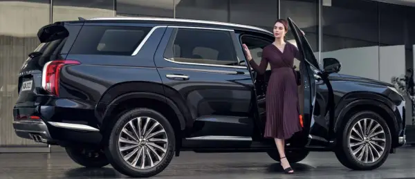 팰리세이드 측면 모습