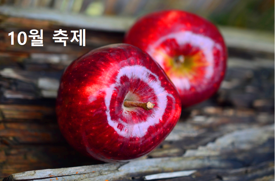 사과