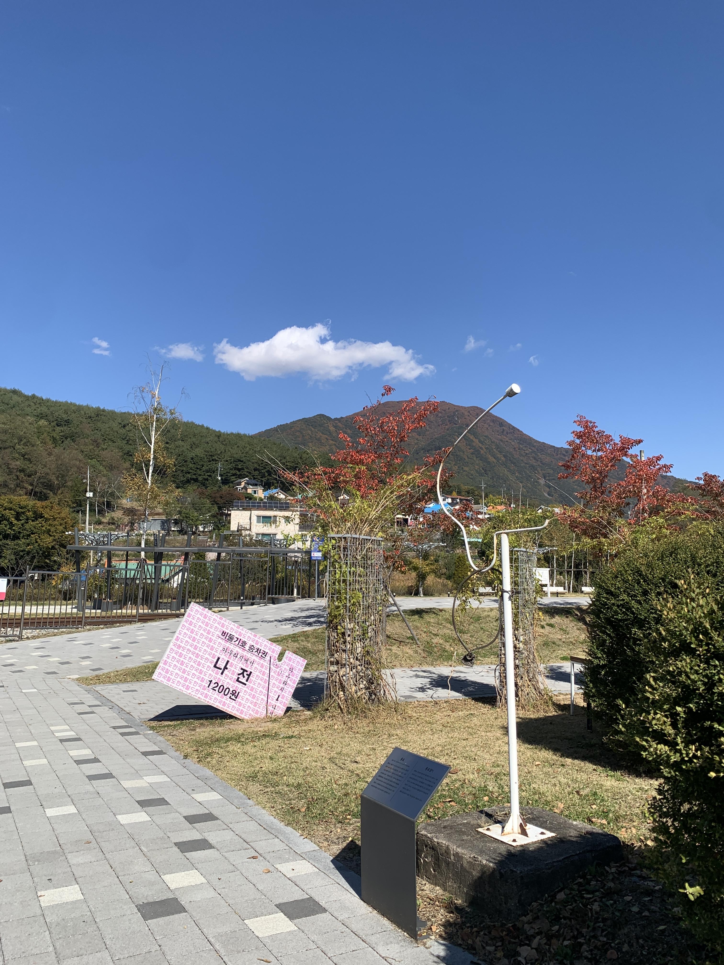 정선 나전역카페