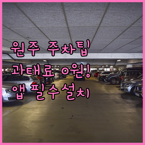 원주시 주정차단속 알림 서비스 신청 ..