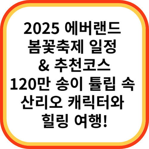 2025 에버랜드 봄꽃축제 일정 &amp; 추천코스｜120만 송이 튤립 속 산리오 캐릭터와 힐링 여행!