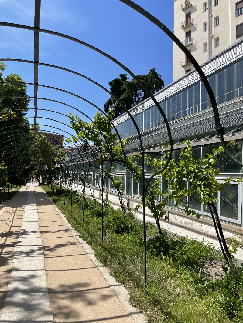 마드리드 왕립식물원 온실