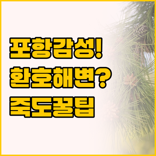 당장 떠나고 싶은 포항 환호해변과 죽..