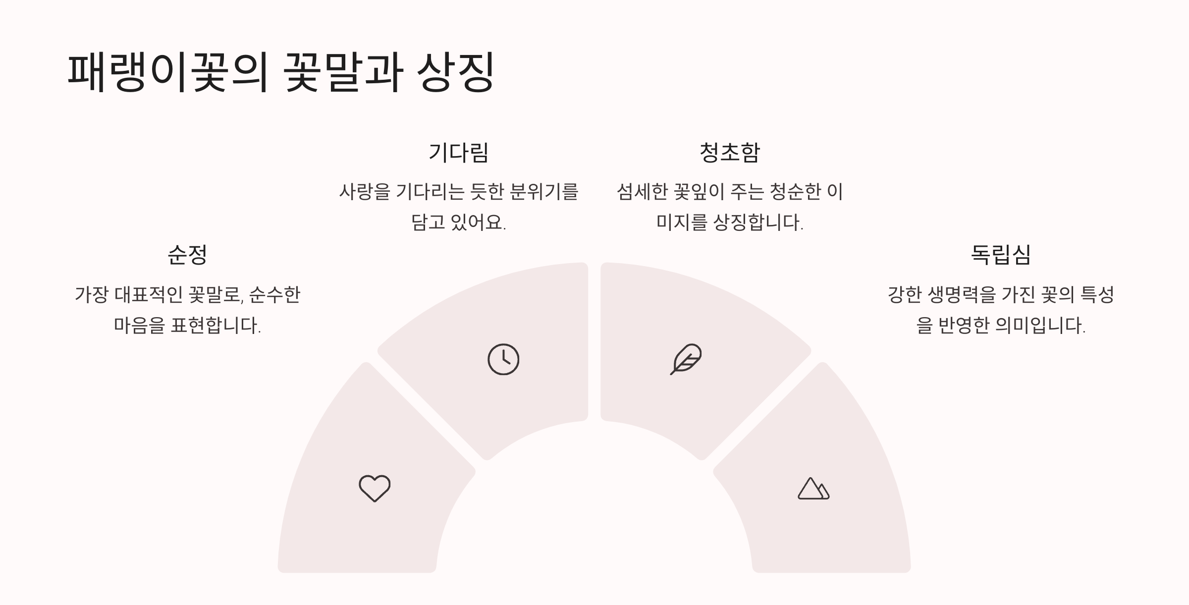 패랭이꽃