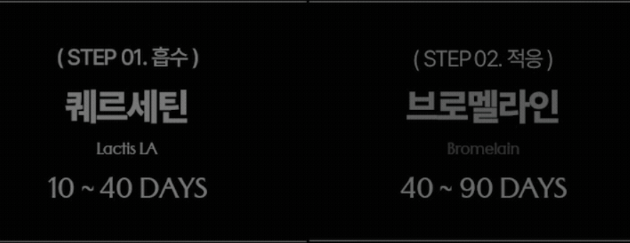 노즈픽션-사진3