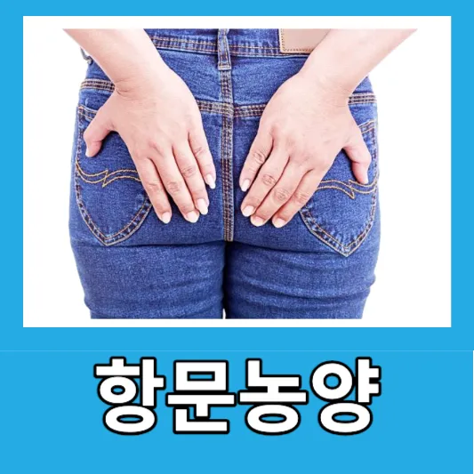 항문농양