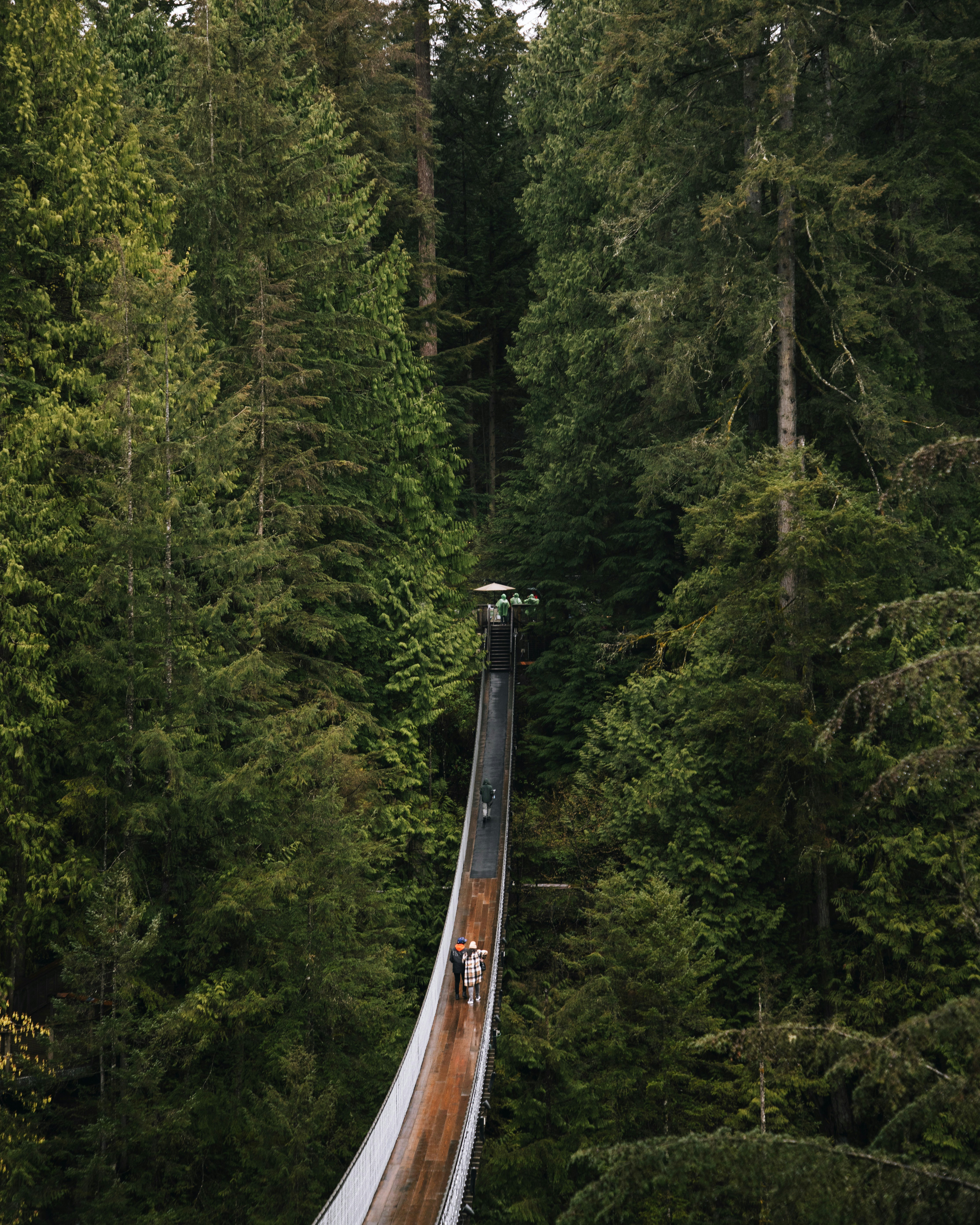 화담숲 모노레일 예약 방법