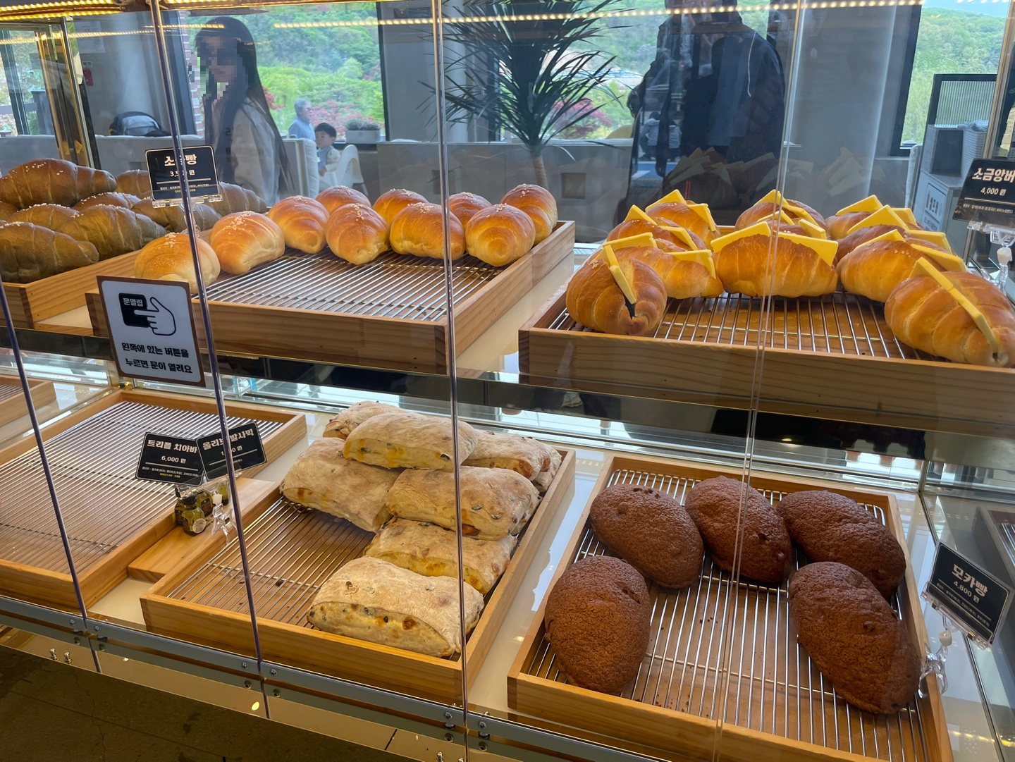 용인 자작나무숲 베툴라 대형 베이커피 카페