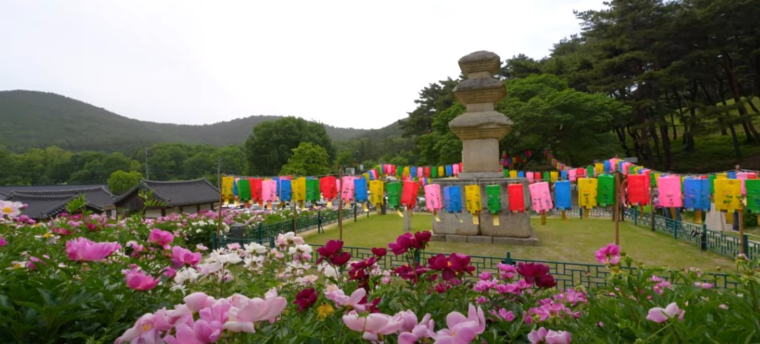 5월에 꼭 가봐야 할 적국 봄꽃 명소