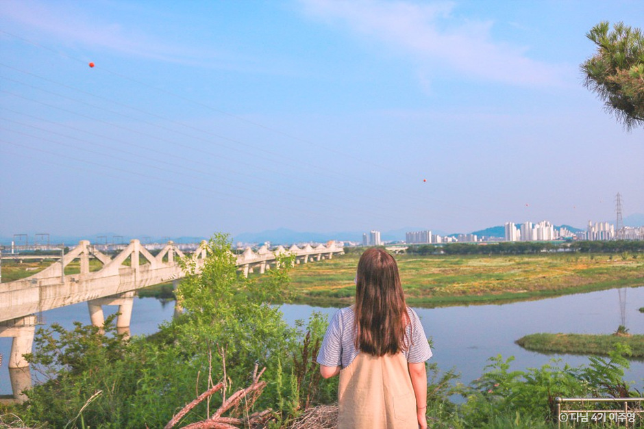 완주 카페 비비정예술열차