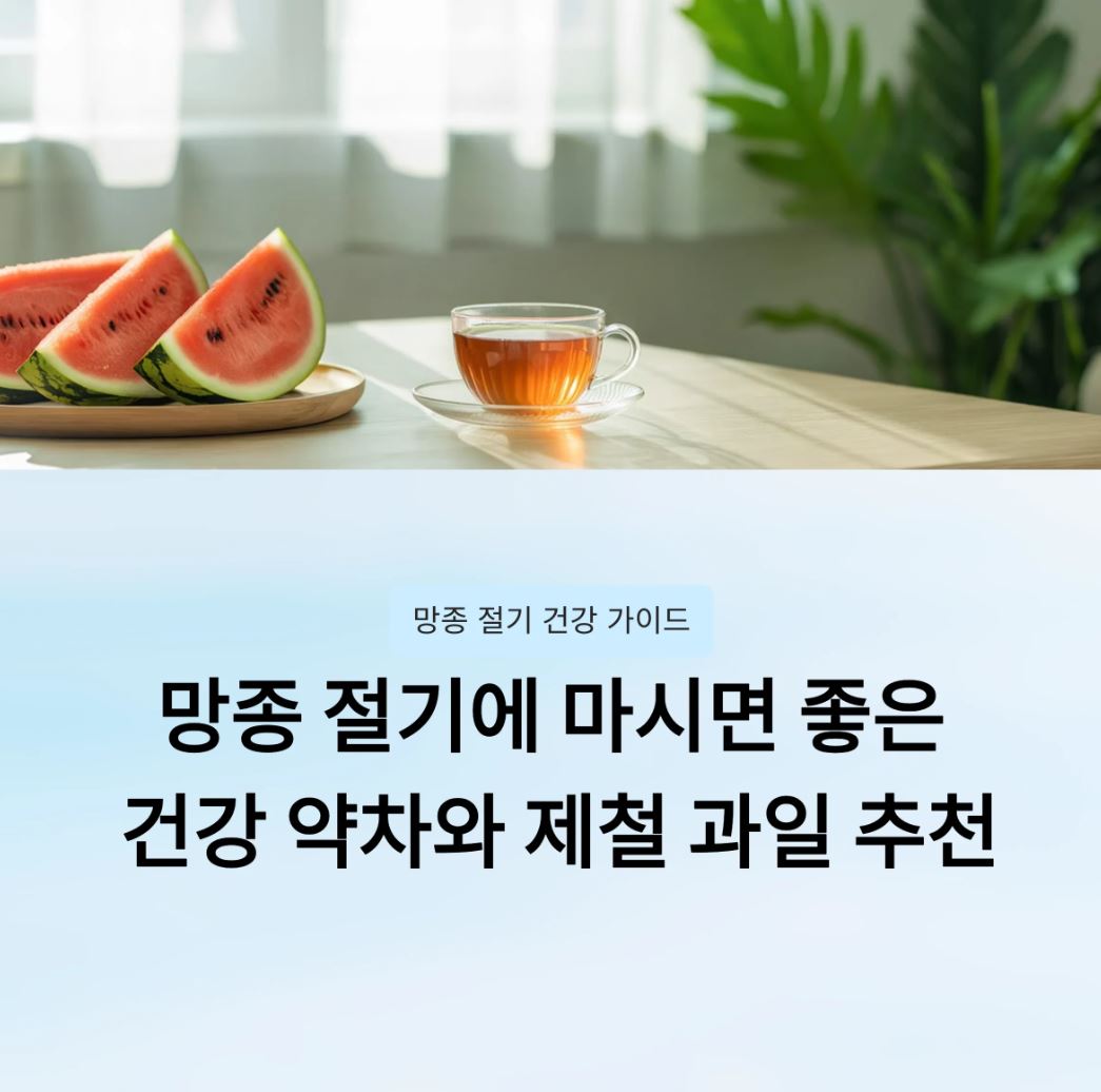 망종-절기-건강