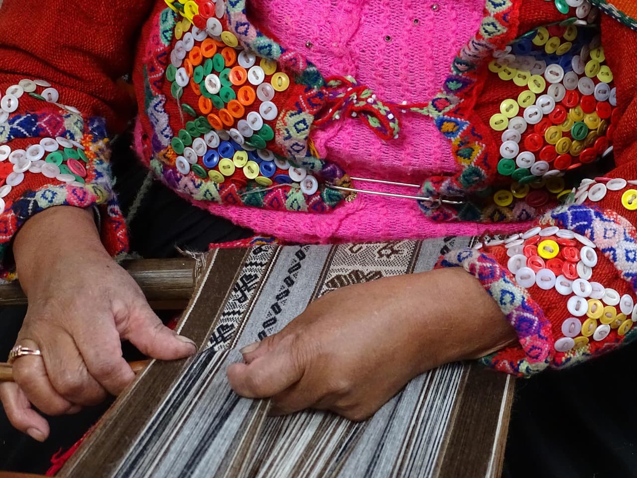 시니어 자격증 추천 유아숲지도사 자격증 취득 방법과 소득
