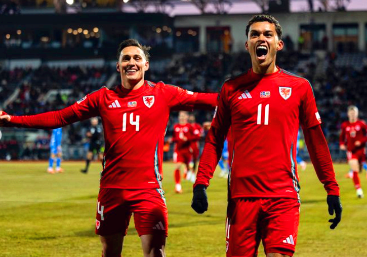 토트넘 브레넌존슨