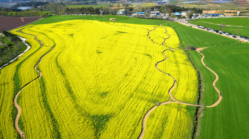 농업경영체 등록방법, 혜택, 신청서류 완벽 가이드