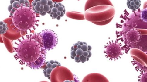Basophil 수치