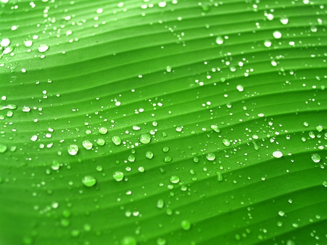 결로현상 원인과 결로현상 해결 방법