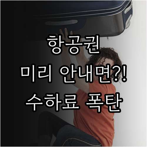 카타르항공 수하물 추가는 온라인으로 ..
