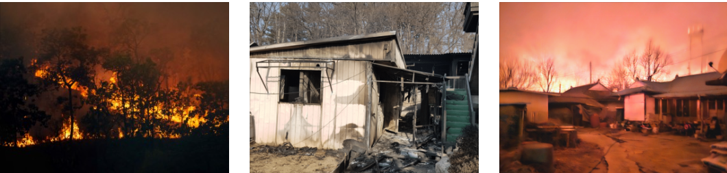 산불 피해지역 이미지