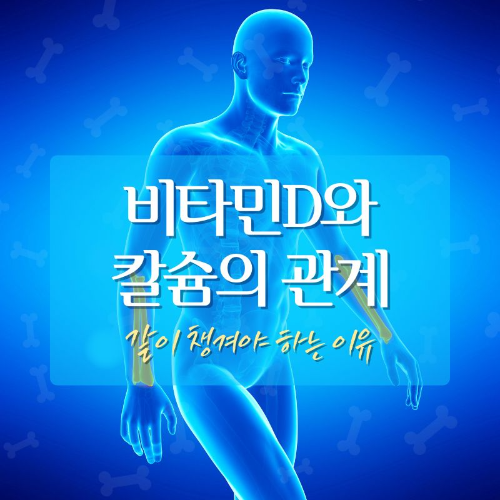 비타민D와_칼슘의_관계