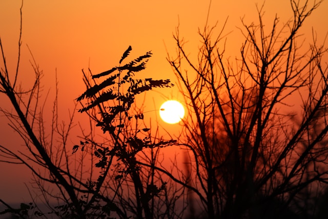 덕유산 곤도라 예약부터 향적봉 일출까지 완벽 가이드
