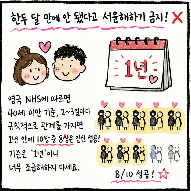 영국 국가 보건 서비스(NHS), 피임 없이 규칙적으로 관계를 가지면 1년 안에 10쌍 중 8쌍은 임신