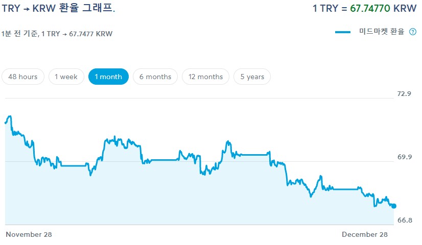 터키 리라 환율 그래프