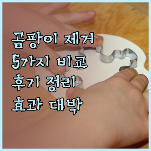 욕실 곰팡이 고민 끝 5가지 제품 비