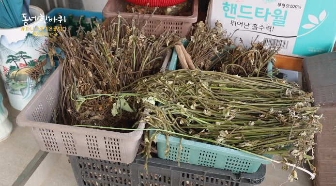 약초