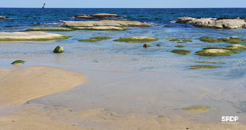아야진-해변-해수욕장-스위밍터틀-강원도-고성-오션뷰-카페