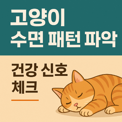 하루 16시간 자는 고양이, 괜찮을까? 잠으로 보는 건강 상태